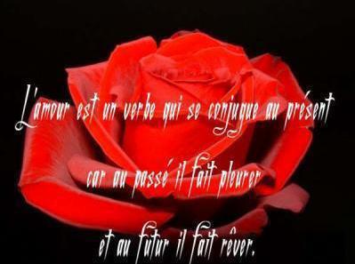 l'amour